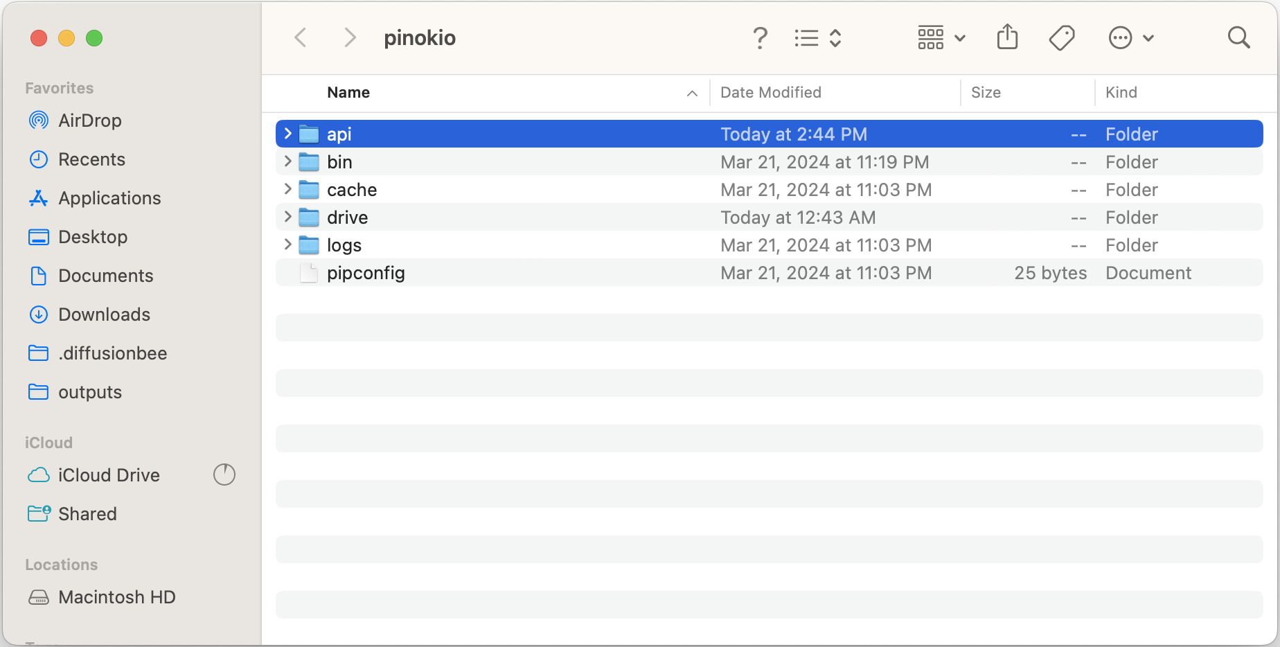 Pinokio Manual